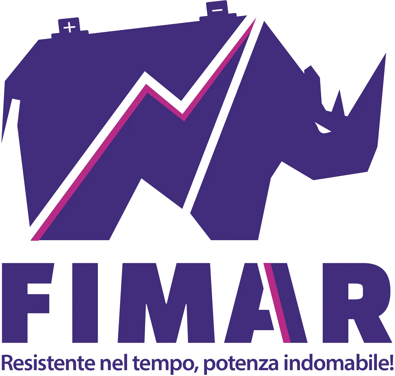 Batteria avviamento 55AH L1 DX Fimar - Image 4